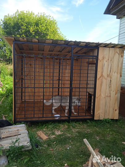 Вольер для собак уличный