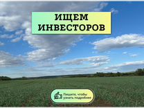 Привлекаем инвестиции в сельское хозяйство