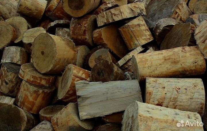 Дрова Береза