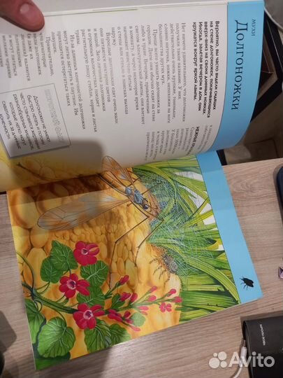 Насекомые. Полная энциклопедия