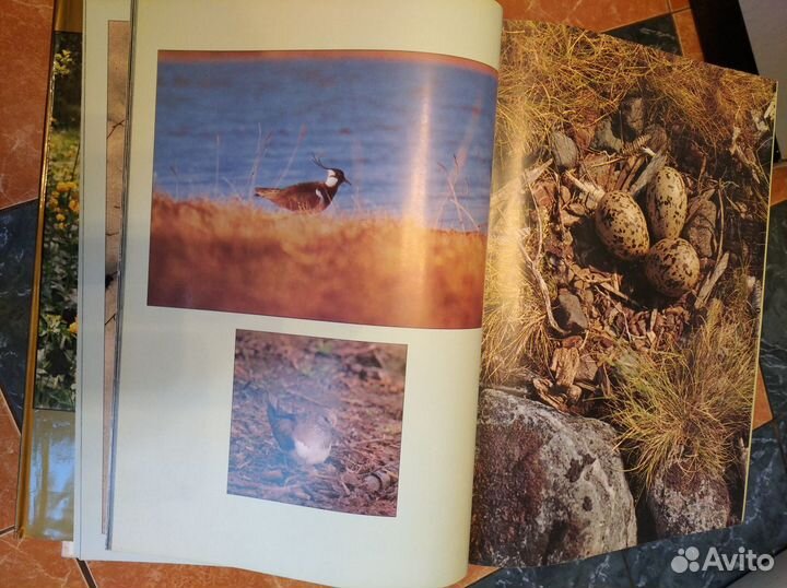 Фотоальбом 