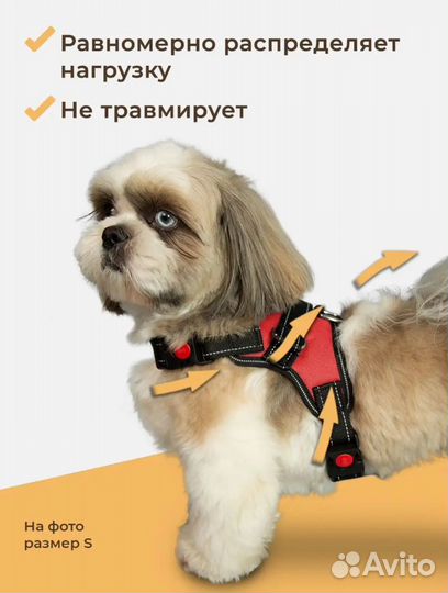 Шлейка для собаки новая