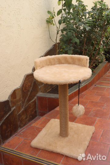 Когтеточка