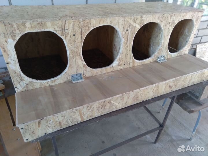 Гнездо для кур с яйцесборником