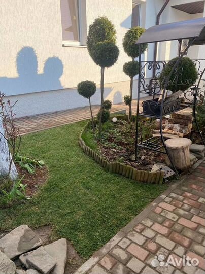 Рулонный газон от производителя