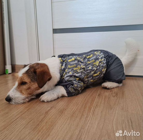 Комбинезон дождевикдля собаки