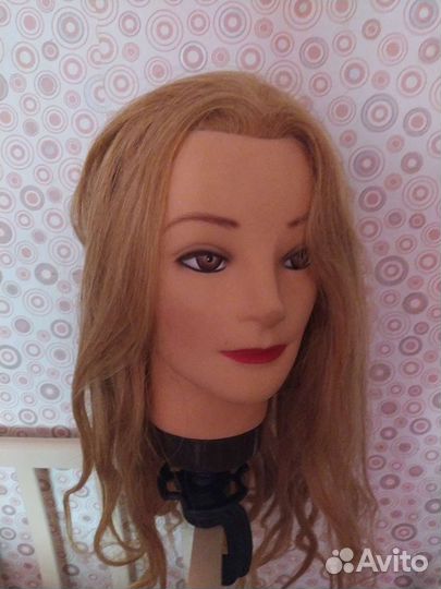 Голова учебная новая