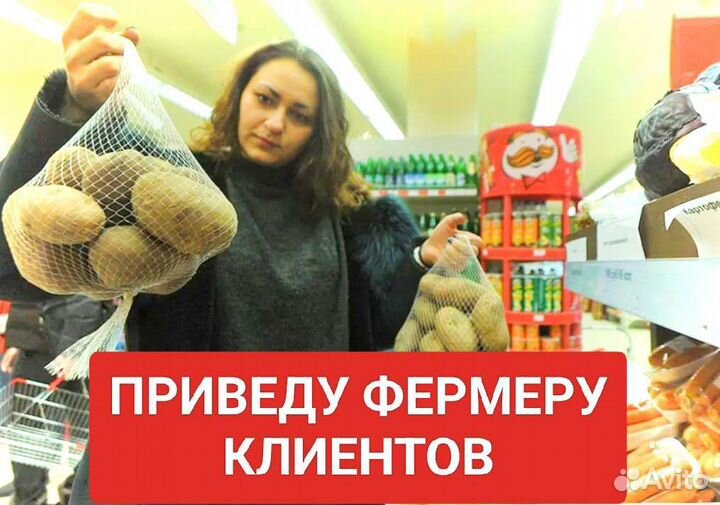 Приведу клиентов оптом на картофель