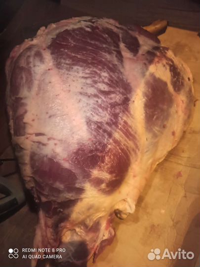 Говядина домашняя, мясо телятина