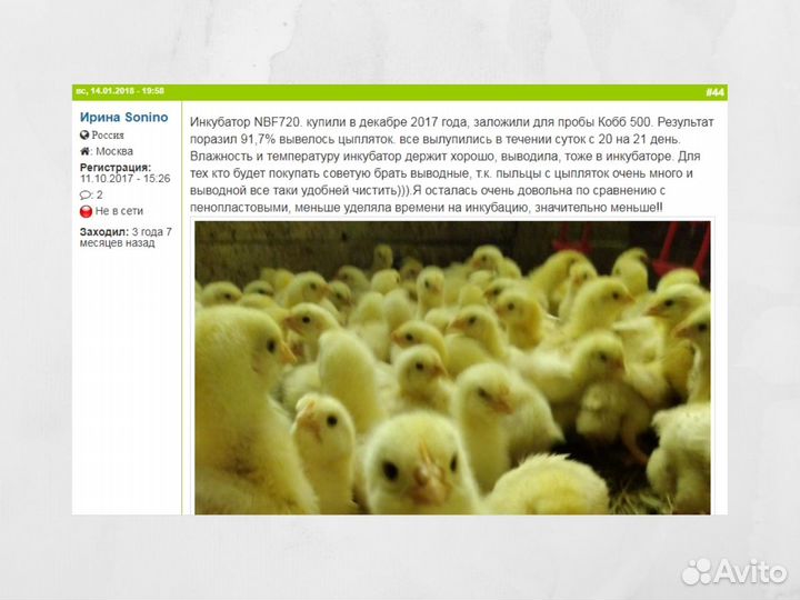 Инкубатор на 210 яиц