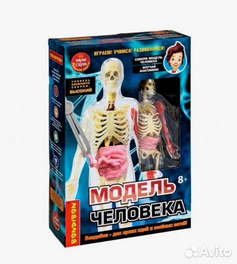 Японские опыты Науки с Буки bondibon, Модель челов