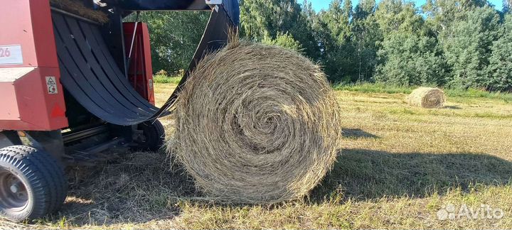 Сено в рулонах 2024