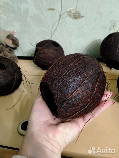 Укрытие - дом для рыб/раков/ хомяков/ящериц.Камни