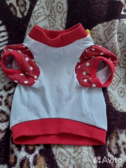 Одежда для маленьких собак s