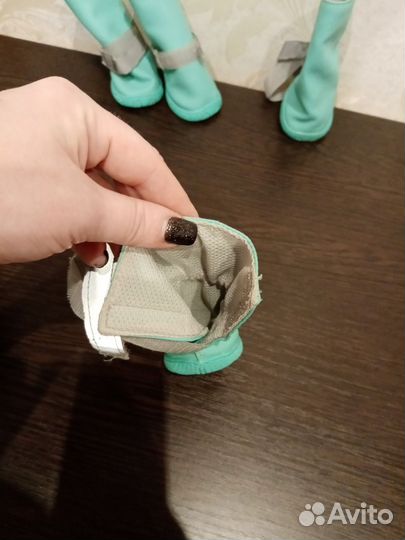 Обувь для собак