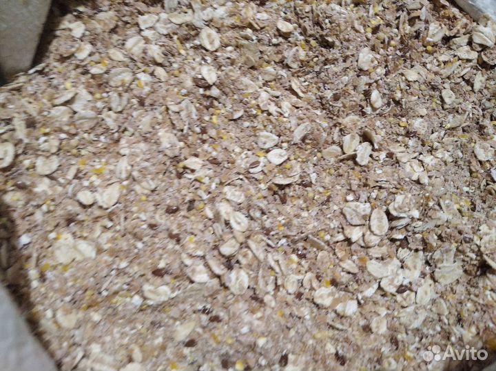 Корм, сено, витамины для шиншилл