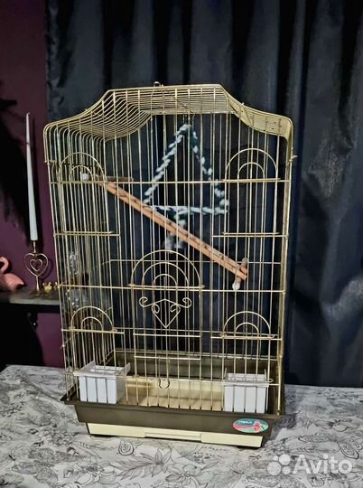 Клетка для попугая корелла