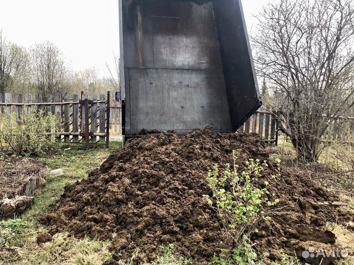 Навоз коровий