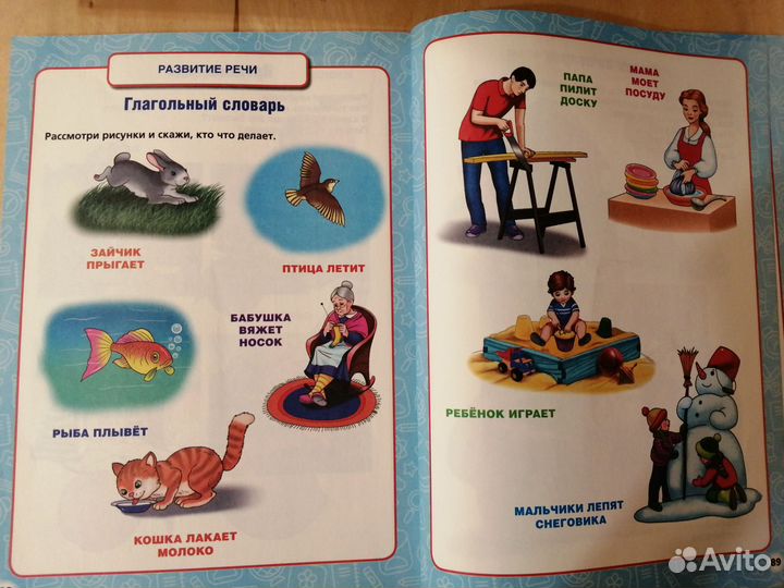 Годовой курс занятий 2-3 года