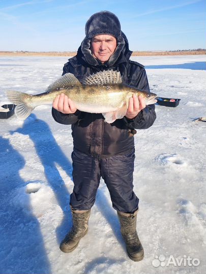 Организация рыбалки