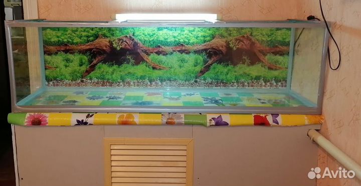 Аквариум