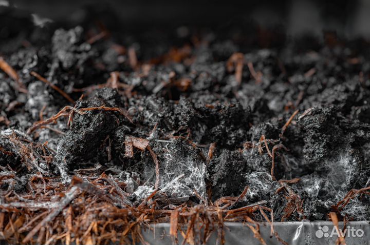 Компост для шампиньонов