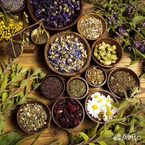 Травы для лечения кишечника (няк)