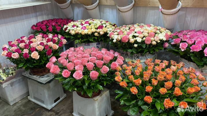 Доставка цветов / Цветы розы