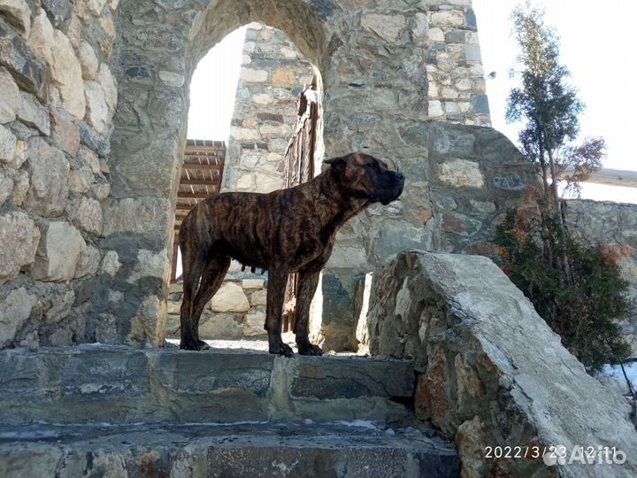 Индивидуальныe или гpупповыe туpы нa ваш выбоp