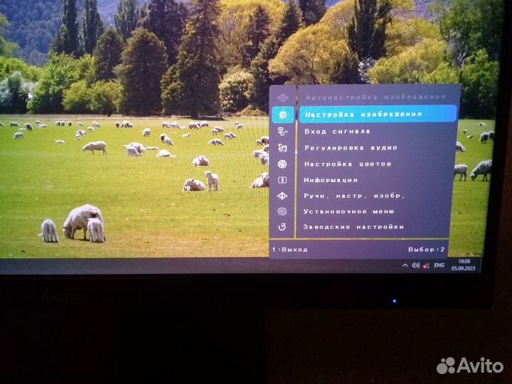 Монитор iiyama 22