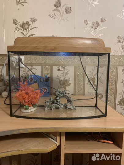Аквариум