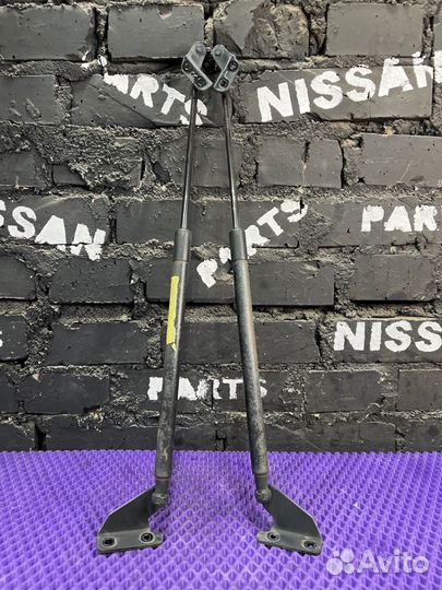 Амортизатор багажника Nissan Dualis J10-012805