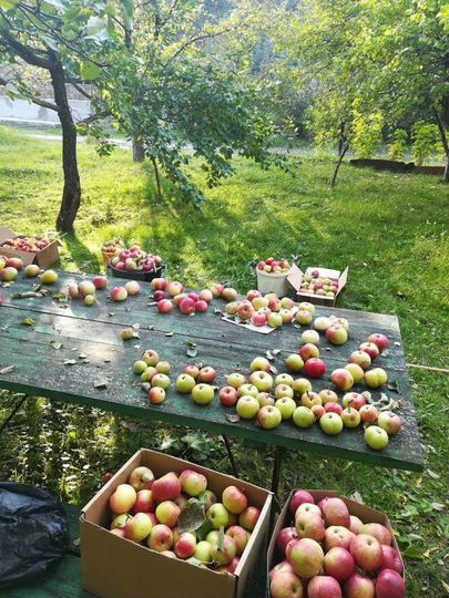 Дача 16 м² на участке 8 сот.