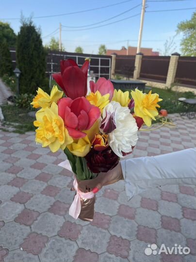 Цветы букет тюльпаны