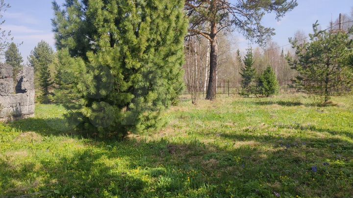Дача 27 м² на участке 9,8 сот.