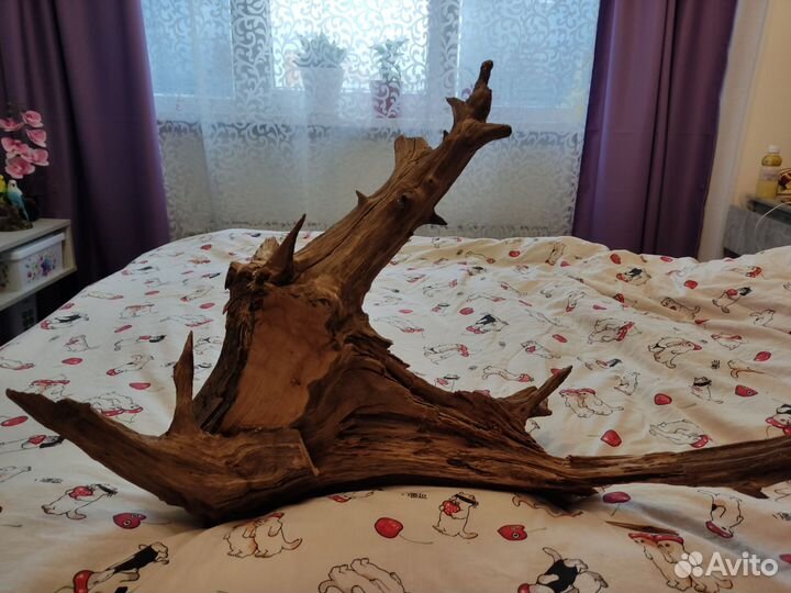 Коряга в аквариум