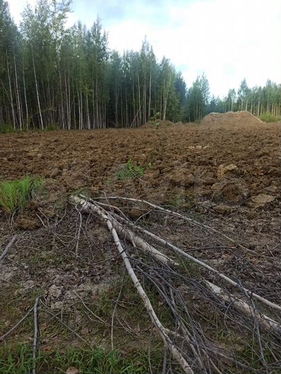 Участок 15 сот. (СНТ, ДНП)