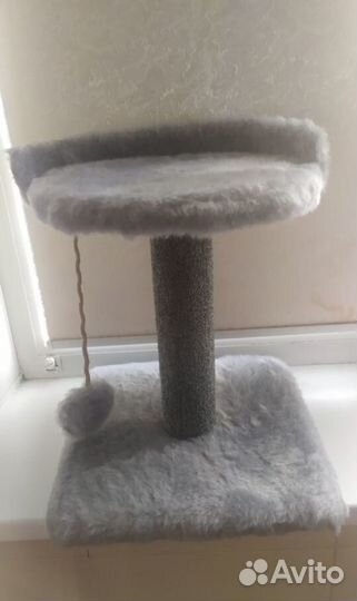Когтеточка для кошек