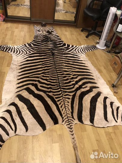 Новая натуральная шкура зебры, Африка