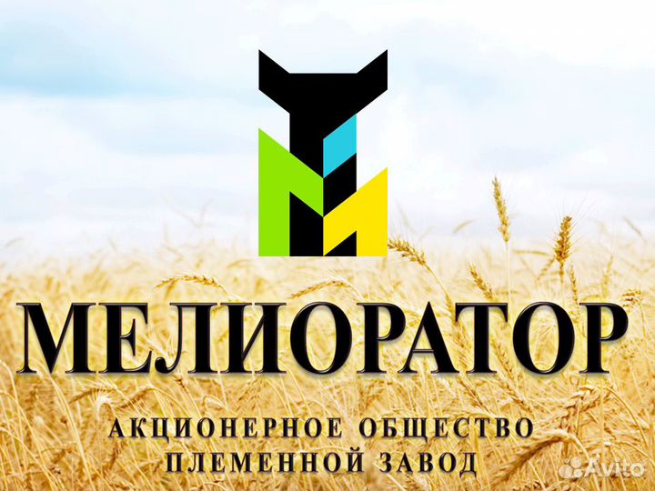 Оператор машинного доения (одм), дояр, доярка
