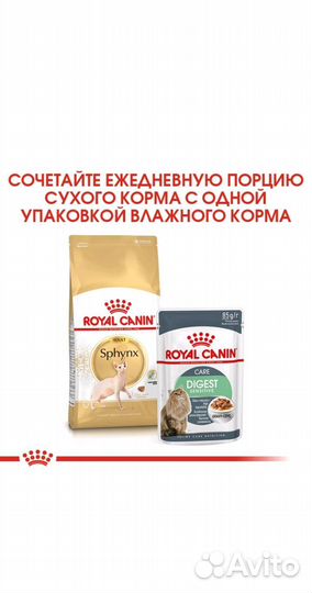 Сухой корм для кошек Royal Canin, для сфинксов