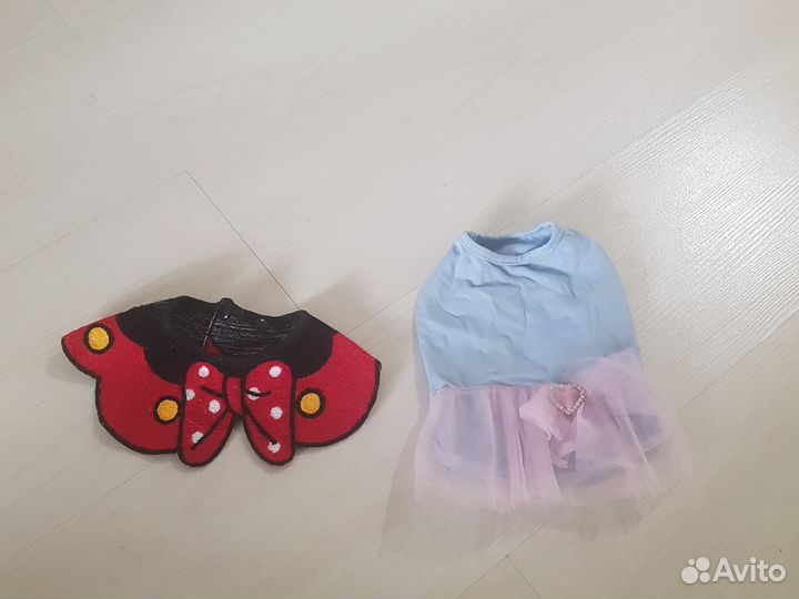 Одежда для животных