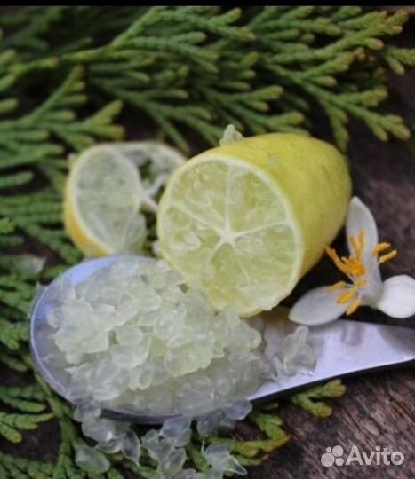 Микроцитрус Фаустрайм