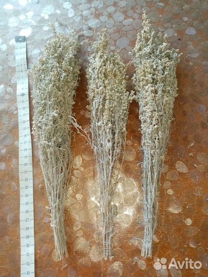 Полынь в скрутках