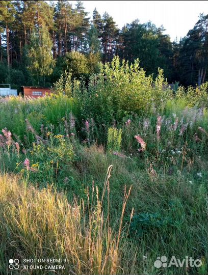 Вспашка, благоустройство, газоны