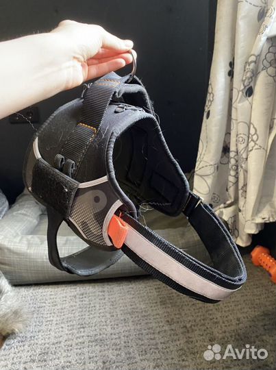 Шлейка для собаки