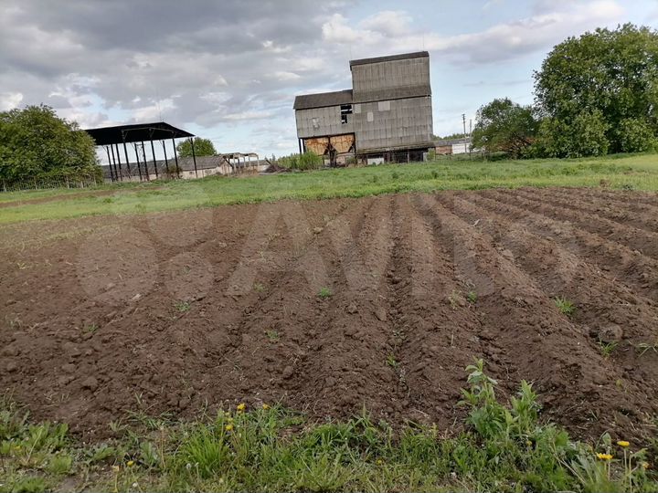 Дом 59 м² на участке 50 сот.