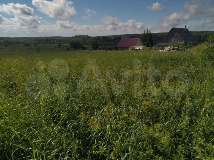 Участок 24 га (ИЖС)