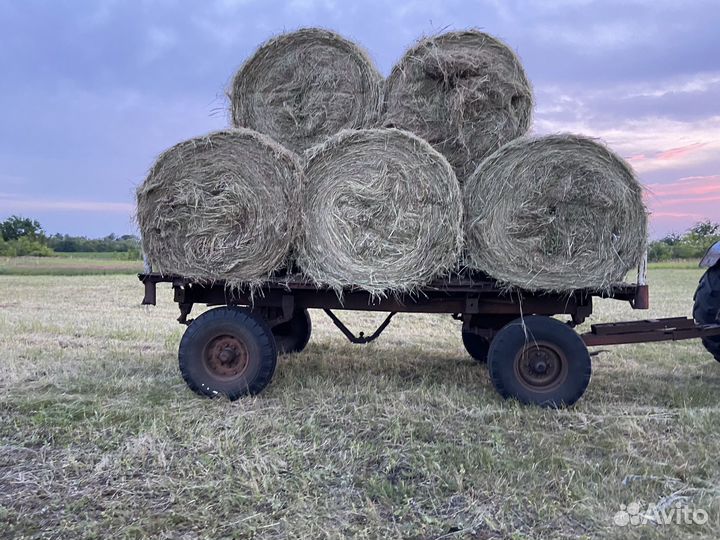 Сено в рулонах, луговое, суданка