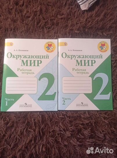 Рабочая тетрадь 2 класс окружающий мир